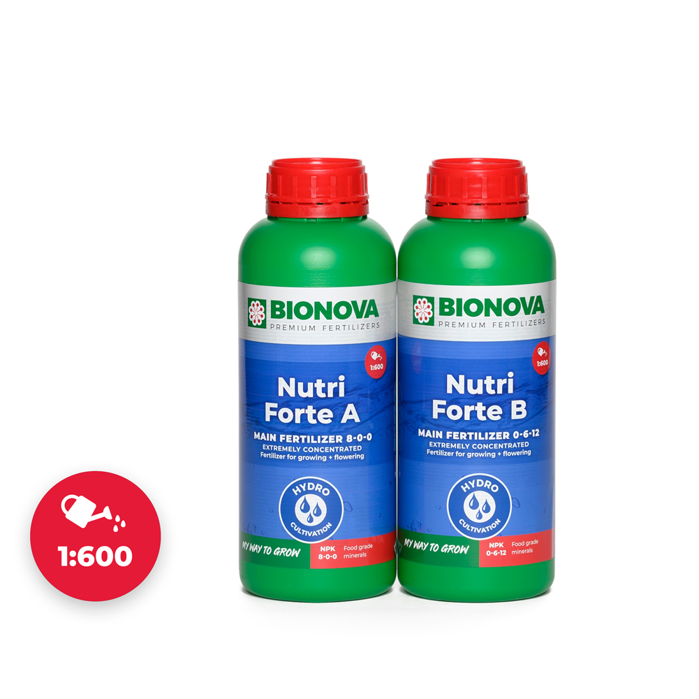 Nutri Forte A+B
