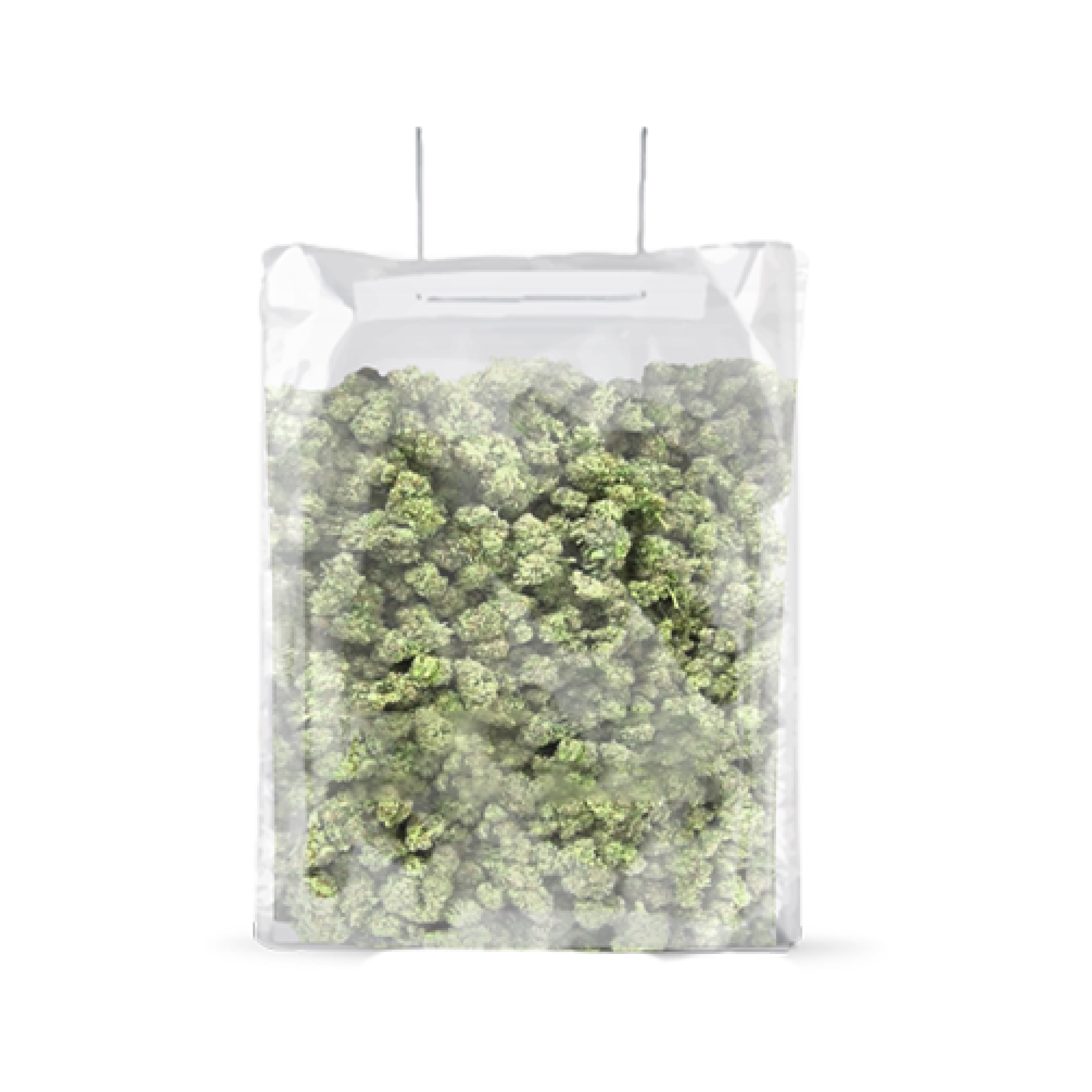 TerpLoc Terpy Bag